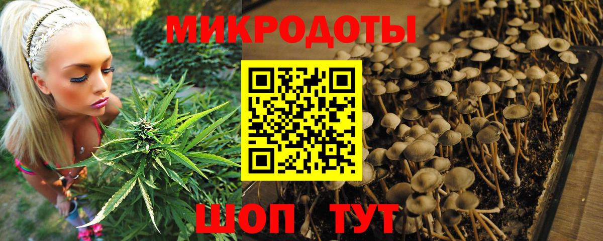 Псилоцибиновые грибы ЛСД Фролово