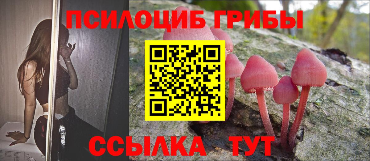 Псилоцибиновые грибы Magic Shrooms  Вход с VPN  Фролово 